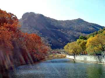 正版澳门天天开彩大全，餐巾纸机器